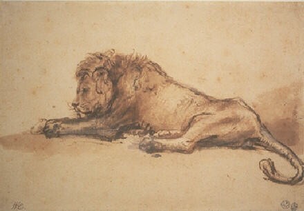 Рембрандт. 'Отдыхающий лев' (1650-52)