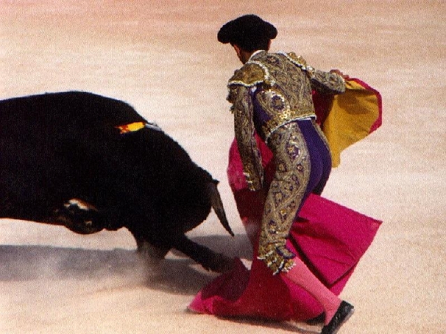 Тореро и бык на арене