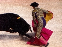 Тореро и бык на арене