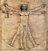 Пропорции человеческого тела (Vitruvian Man), 1490