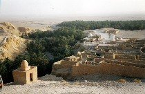 Оазис легко узнать по скоплению пальм
