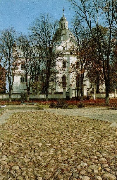 Фарный костел