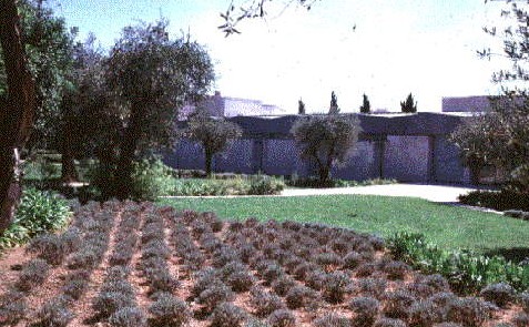 Вид музея Шагала