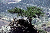 Плато горы Ай-Петри